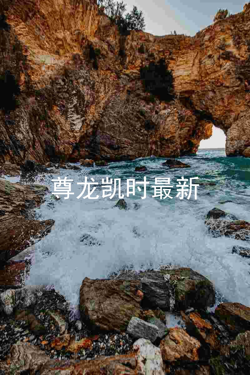 尊龙凯时最新