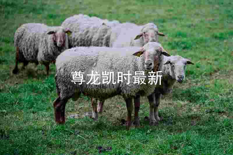 尊龙凯时最新