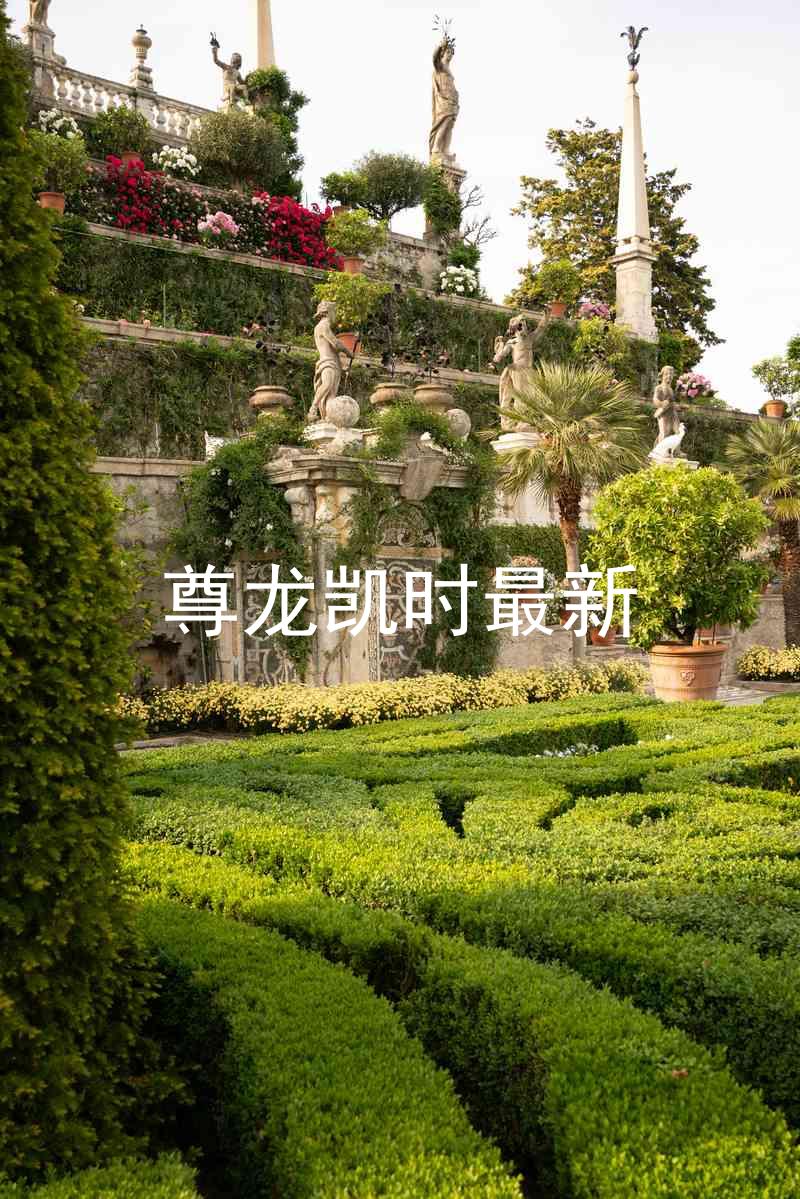 尊龙凯时最新